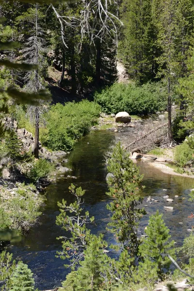 DSC_3712 (Large).JPG